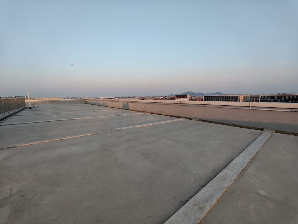 天台【一堆猫】