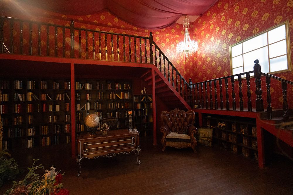 空间-红欧【一堆猫】