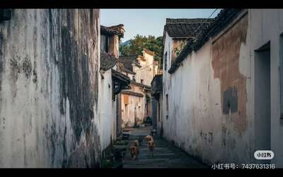 guzhen/杭州-龙门1