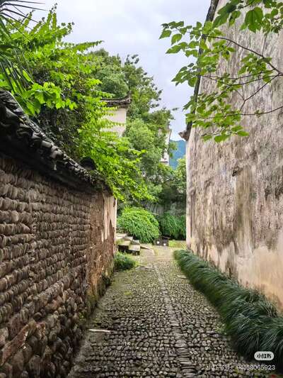 guzhen/杭州-龙门1