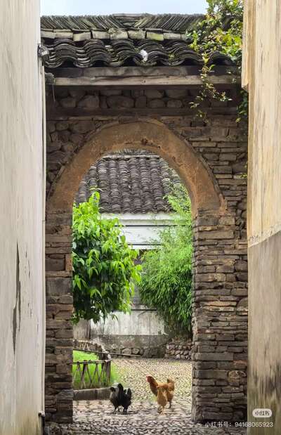 guzhen/杭州-龙门1