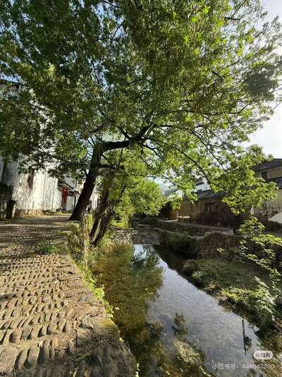 guzhen/杭州-龙门1