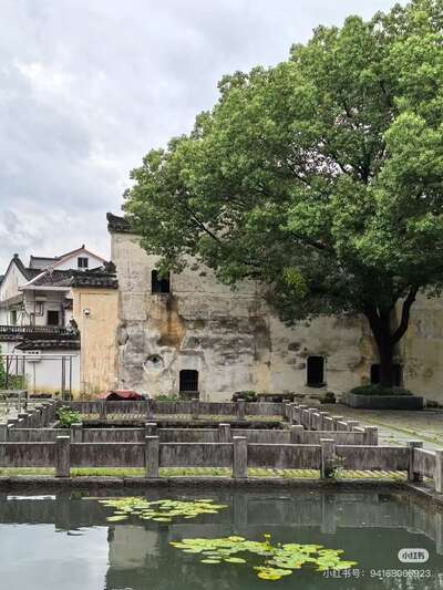 guzhen/杭州-龙门1