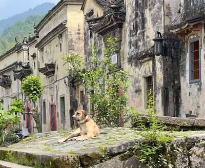 guzhen/淳安-芹川1