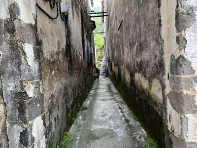 guzhen/淳安-芹川1