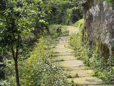 guzhen/淳安-芹川1