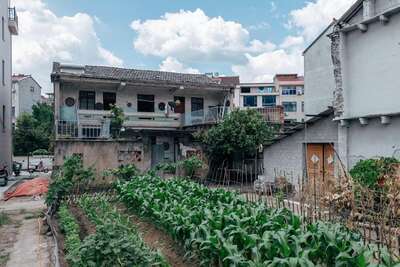 hd/PC-zhuimeng/d.小院-院子家1