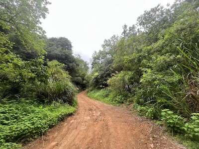 hd/外景-马场露营拍摄基地1