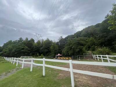 hd/外景-马场露营拍摄基地1