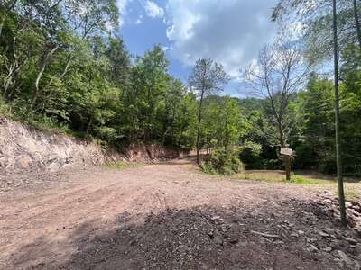 hd/外景山里-竹林山路1