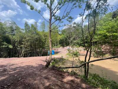 hd/外景山里-竹林山路1