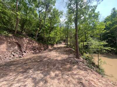 hd/外景山里-竹林山路1