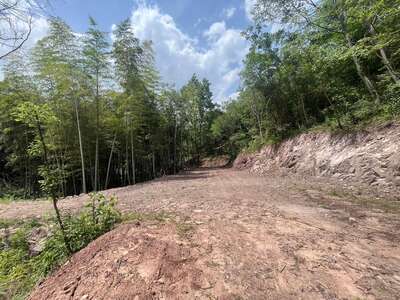 hd/外景山里-竹林山路1