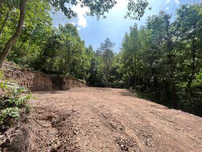 hd/外景山里-竹林山路1