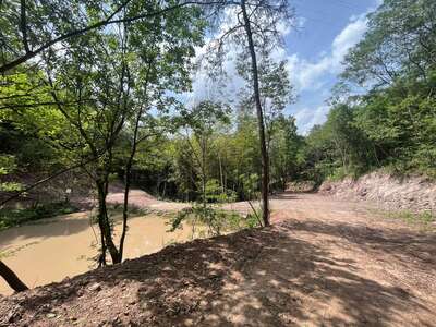 hd/外景山里-竹林山路1