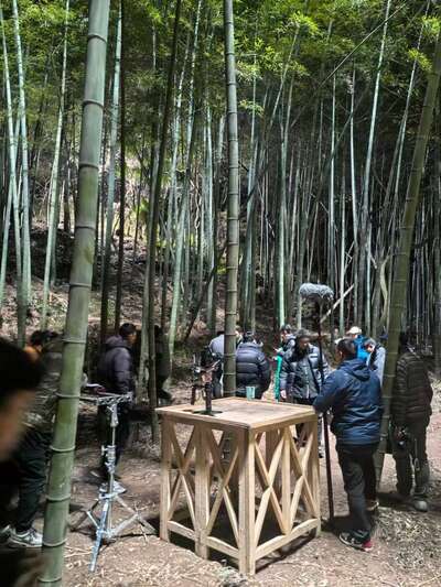 hd/外景山里-竹林山路1