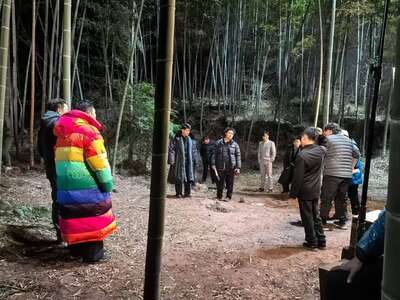 hd/外景山里-竹林山路1