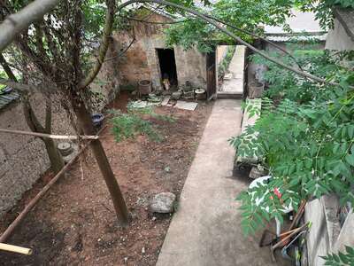 hd/家居-农房-农家小院1