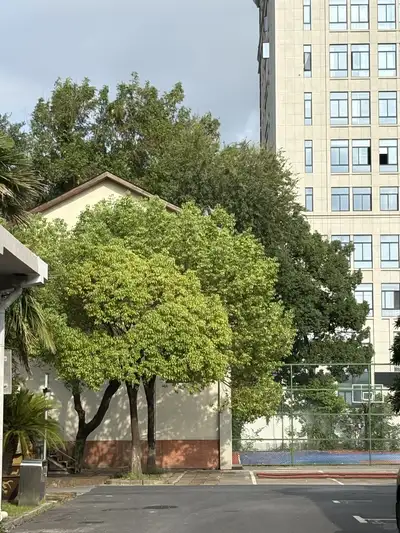 hz/C创意园/J经纬1