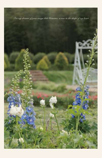 hz/C城堡庄园/Wannve1