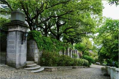 hz/C城堡庄园/爱丽芬011