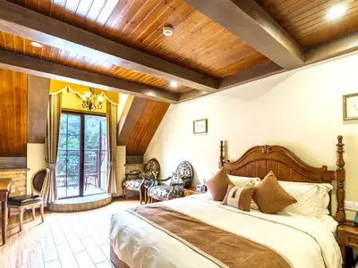 hz/C城堡庄园/爱丽芬021