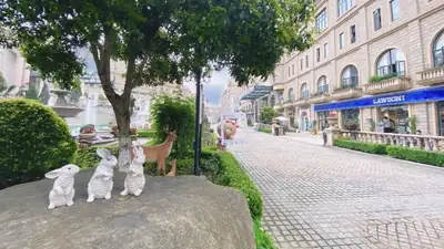 hz/C城堡庄园/爱丽芬021