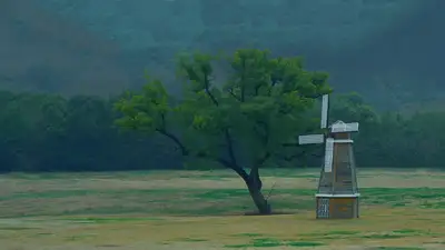 hz/C草坪/滨江-草坪风车1