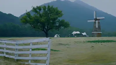 hz/C草坪/滨江-草坪风车1