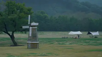 hz/C草坪/滨江-草坪风车1