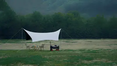 hz/C草坪/滨江-草坪风车1