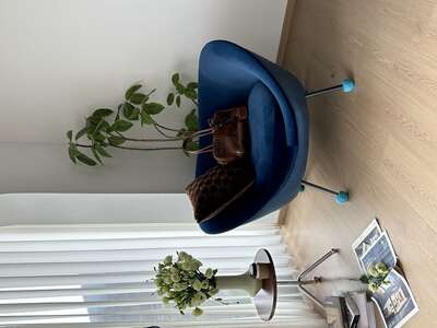 hz/JD/滨江-白马湖1