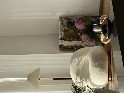 hz/JD/滨江-白马湖1