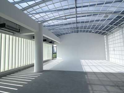 hz/JD/滨江-透光1