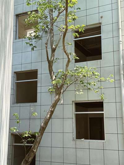 hz/JD/萧山-MAGLA-美术馆1