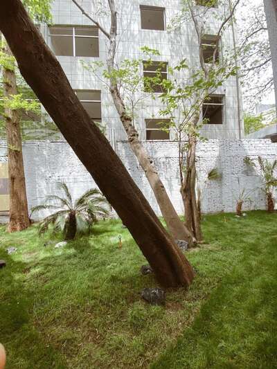 hz/JD/萧山-MAGLA-美术馆1