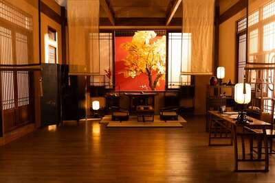 hz/JD/萧山-一堆猫/主厅1