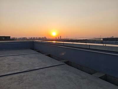 hz/JD/萧山-一堆猫/天台1