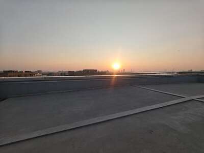 hz/JD/萧山-一堆猫/天台1