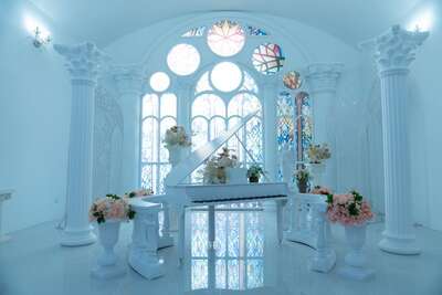 hz/JD/萧山-一堆猫/1