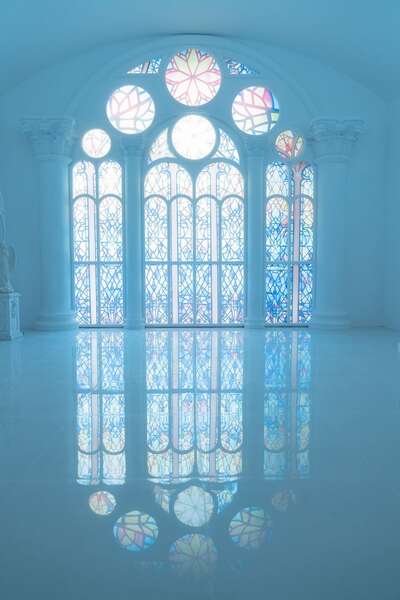 hz/JD/萧山-一堆猫/1