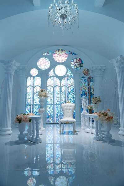 hz/JD/萧山-一堆猫/1