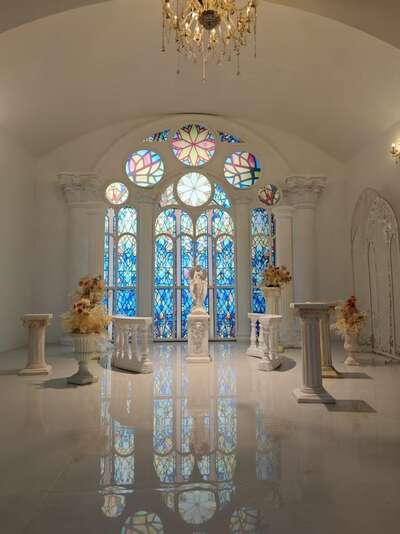 hz/JD/萧山-一堆猫/1