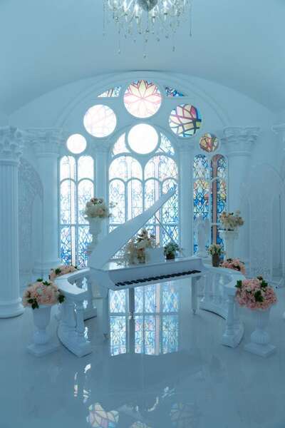 hz/JD/萧山-一堆猫/1