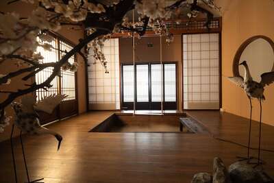 hz/JD/萧山-一堆猫/水池1