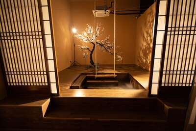 hz/JD/萧山-一堆猫/水池1