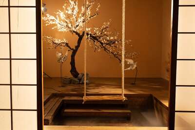 hz/JD/萧山-一堆猫/水池1