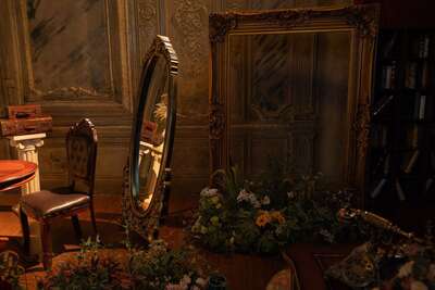 hz/JD/萧山-一堆猫/1