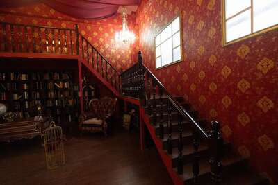 hz/JD/萧山-一堆猫/1