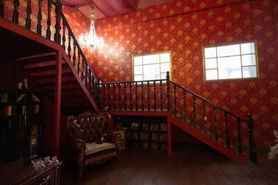 hz/JD/萧山-一堆猫/1